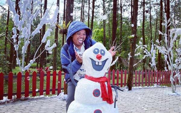 Ada “Taman Salju” di Karangreja, Anak-anak Akan Rasakan Sensasinya