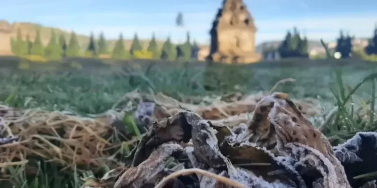 Tiga Hari Berturut-turut Kawasan Dieng Diselimuti Embun Es