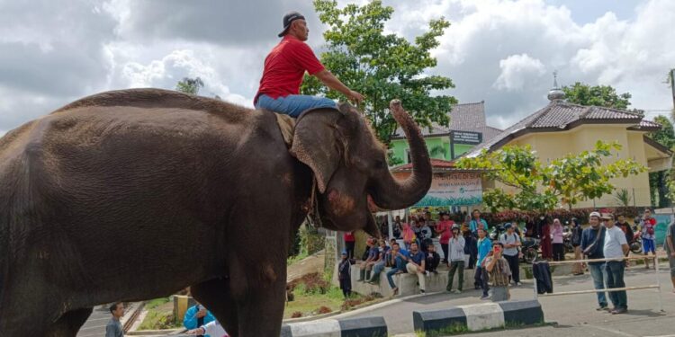 Koleksi Taman Rekreasi Marga Satwa Seruling Mas Banjarnegara Makin Lengkap