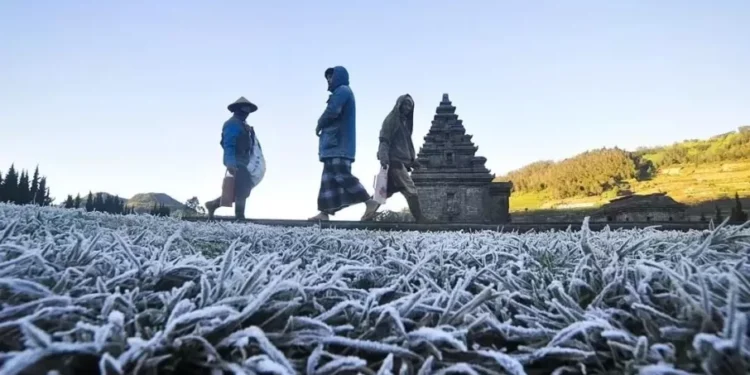 Wisatawan Terus Berdatangan ke Dieng Ingin Saksikan Fenomena Embun Es