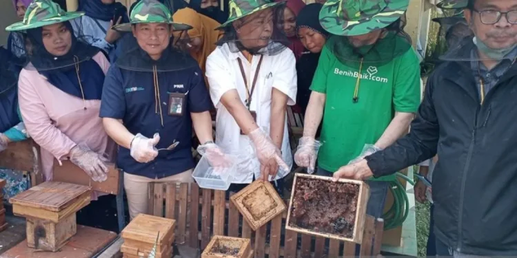 Desa Langgongsari di Banyumas Disiapkan Jadi Sentra Madu Klanceng