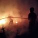 Lahan Milik Perhutani di Cilacap Terbakar, Tidak ada Korban Jiwa