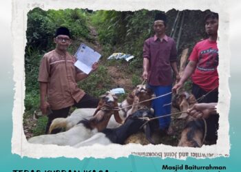 TEBAR KURBAN IKAGA 2024